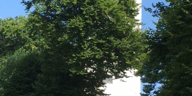 Blick auf Gingen