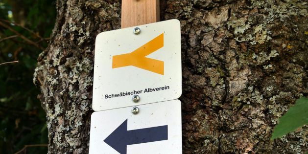 Blick auf Gingen