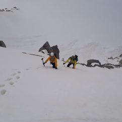 IMG_20240618_115650.jpg